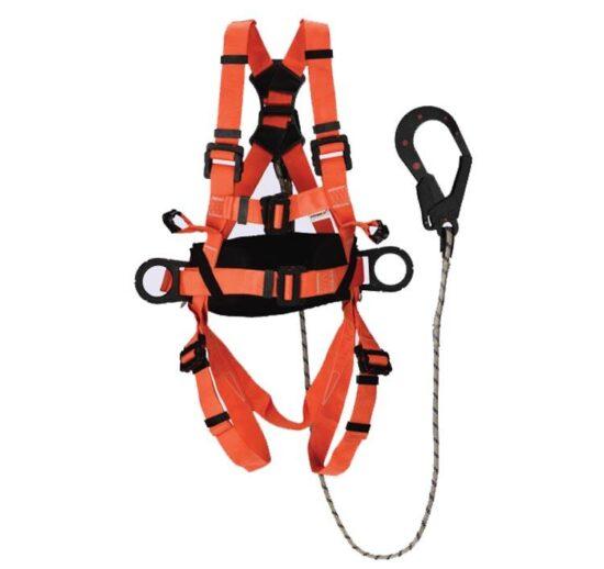 Die Electrict harness