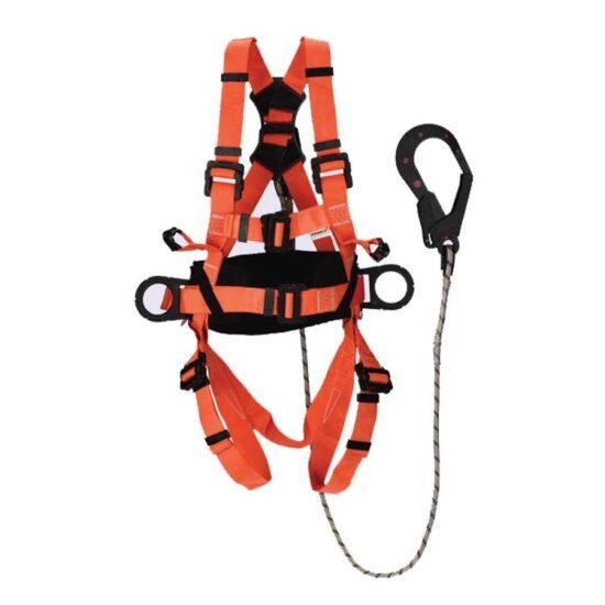 Die Electrict harness